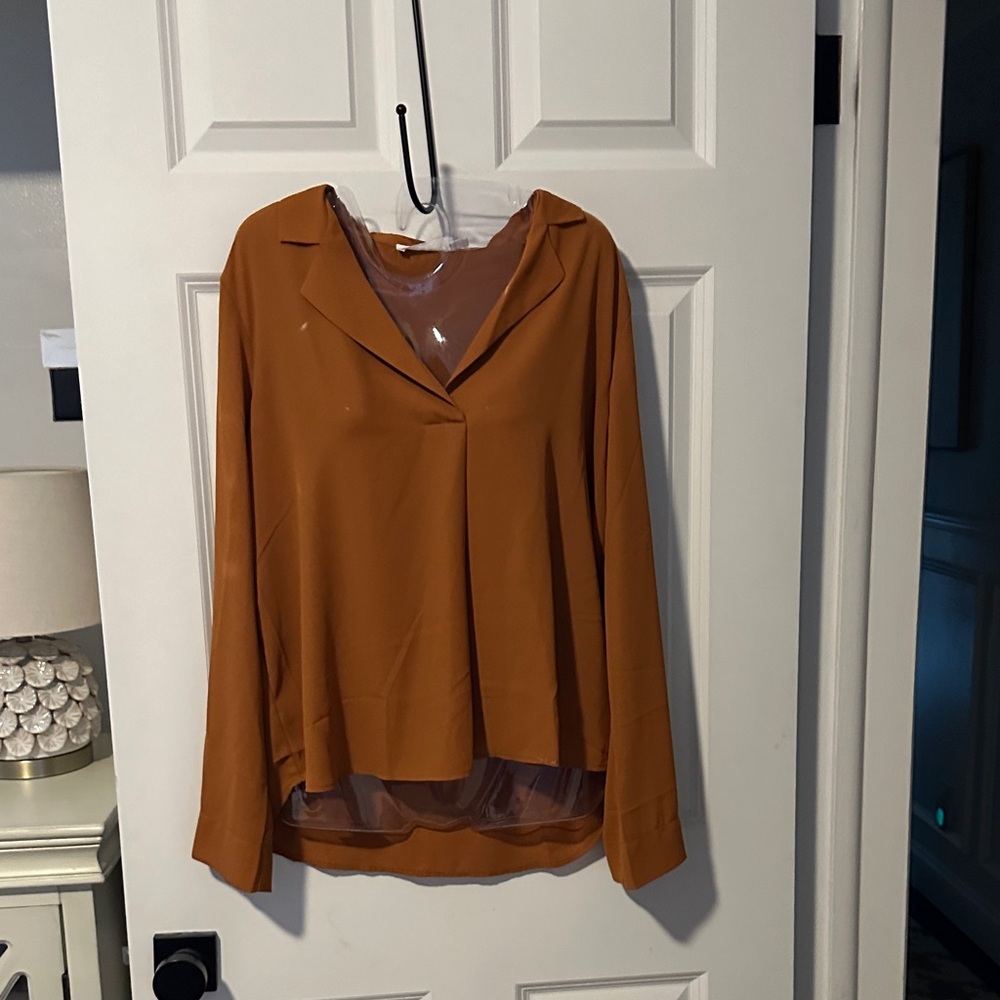 All in Favor Rust Blouse